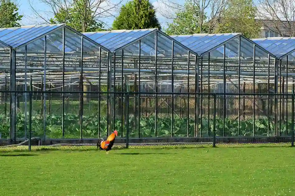 Glazen kassen in Bemmel in de Betuwe